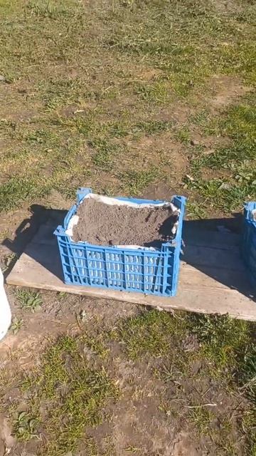 Клумба в ящиках#контейнерноеозеленение#деревня#цветы смотреть онлайн