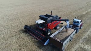 Испытание комбайна Акрос 550