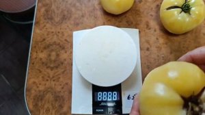 Томат Микадо карамельный