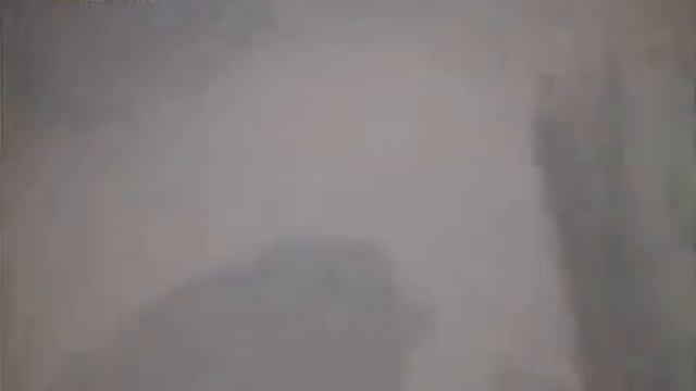 Ребенок упал в вольер с гориллами