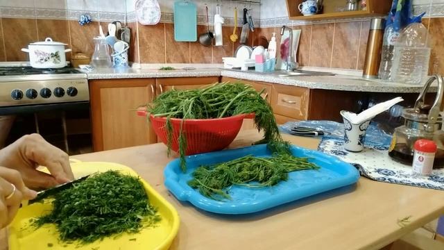 Заготавливаю укроп на зиму. Сушу пряные травы - мелисс? смотреть онлайн