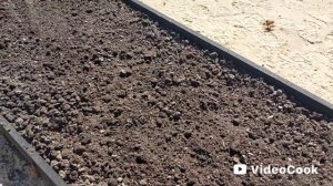 Наши8,4 сотки🏡Посадили картошку💪Высадила 2кустика лаванды и немного новой клубники.Красота❗🌷