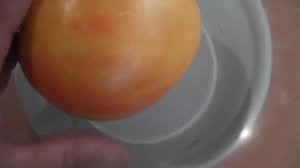 Томат Полуночное солнце