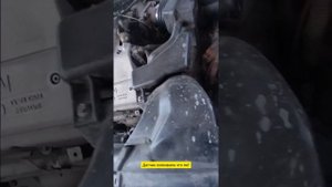 Выезд. Ниссан максима не заводится.