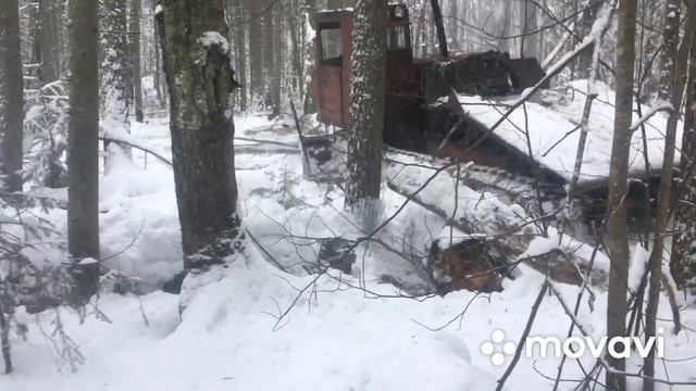 Трелевочник ТДТ-55. Продолжаем делать дорогу. Разулись.