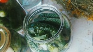 Վարունգի մարինադ | Մարինացված վարունգ | Маринованные о