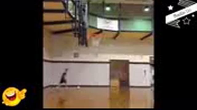 Новогодние приколы 2017 смотреть онлайн