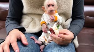 Обезьянка крошка БУКАШКА маму встречает целует обнимает говомаме несёт банан Кормит маму. Потом сама