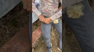 ЛАЙФХАК. КАК ИЗМЕЛЬЧИТЬ ЧЕСНОК, ЕСЛИ НЕ В ДОМАШНИХ УСЛ?