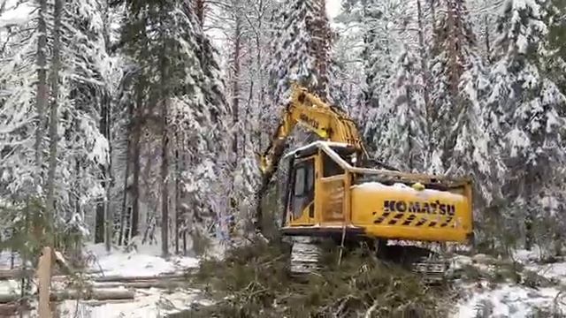 22 марта 2021 г. смотреть онлайн