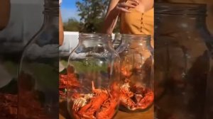 раки на зиму с кукурузой трёхлитровые банки