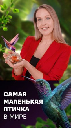 🇨🇺🦜 Самая маленькая птичка в мире!