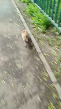 Ползем домой. Кажется дождь начинается