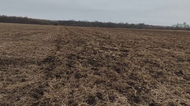МТЗ -1222.3 с чизелем.Безотвальная обработка почвы.