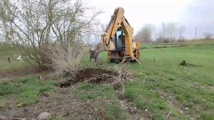 (ЭКСКАВАТОР CAT 428).CAT 428 excavator breaks tree roots with a small bucket