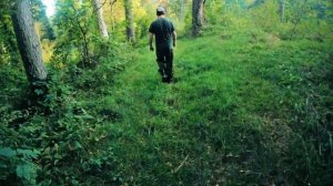 Покатушки в лесу на fuego tekken 3.0 250