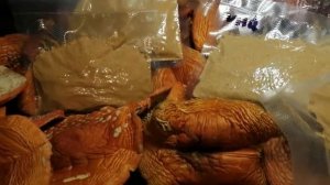 КАК ХРАНИТЬ МУХОМОР ШЛЯПКАХ ИЛИ ПОРОШКЕ? МИФ про порош