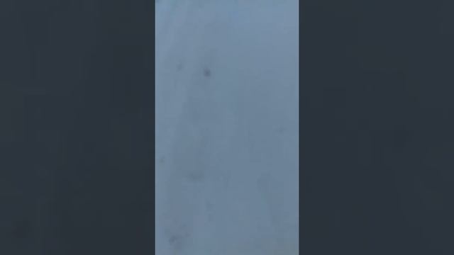 Мы идем в школу смотреть онлайн