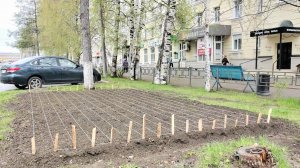 Серовские клумбы расцветут новыми красками