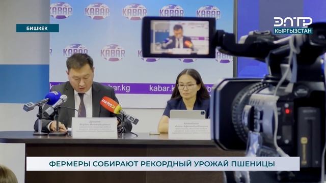 ФЕРМЕРЫ СОБИРАЮТ РЕКОРДНЫЙ УРОЖАЙ ПШЕНИЦЫ смотреть онлайн