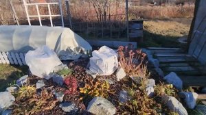 воздушно - сухое укрытие для роз третей климатической