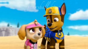 💝🌸заказ гонщик и скай между нами любовь🌸💝