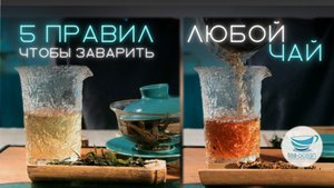 Как заварить любой чай вкусно?