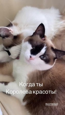 Когда ты-Королева красоты!