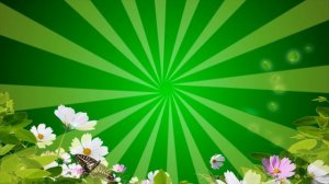 футажи для видеомонтажа hd