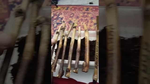 Как вырастить корни на черенках винограда смотреть онлайн