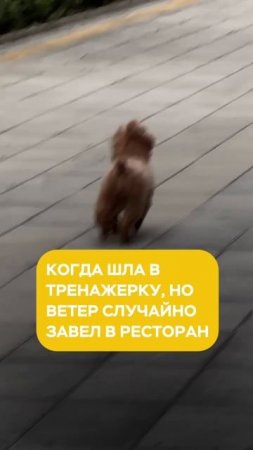 0% осуждения, 100% понимания