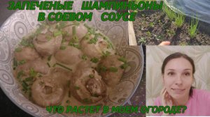 Шампиньоны в соусе — просто и вкусно! Что растет в мини-огороде,#грибывдуховке,#шампиньоны,#огород