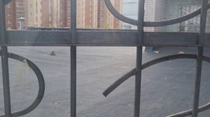 Аренда помещения 261,5 кв.м.,ул.Архангаельская,д3А