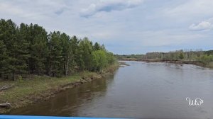 "Белая черемуха"  (г. Енисейск, мкр. р-он : АВИАПОРТ )