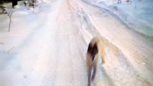 Знаменитый исследователь Станислав Евдокимов о героизме туристов.