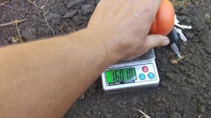 Абрикос Космос(КOSMOS).  persikovod.com