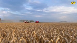 Тест-драйв комбайна AGRO-LIDER FD6300 / Уборка пшеницы / Алтайс