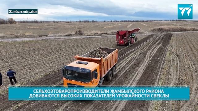 СЕЛЬХОЗТОВАРОПРОИЗВОДИТЕЛИ ЖАМБЫЛСКОГО РАЙОНА ДОБИВ смотреть онлайн