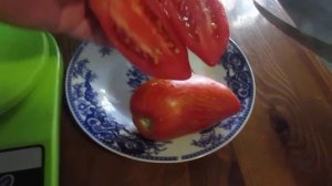 Томат Перцевидный полосатый!