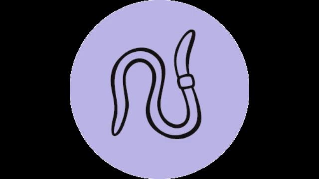 6. ПРИНЦИПЫ ДИЗАЙНА ПЕРМАКУЛЬТУРЫ