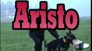 Aristo занятие 21