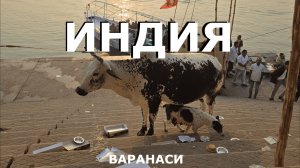 Варанаси - город смерти. А ты готов переступить через себя, чтобы посетить его?
