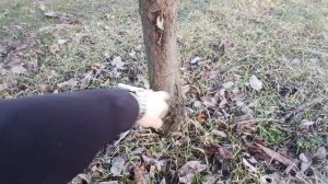 Шарафуга в марте!!!