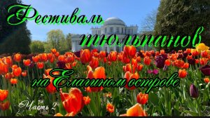 Фестиваль тюльпанов на Елагином острове Санкт-Петербурга. Май 2025 года
