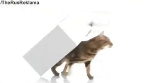 Реклама Перфект Фит с формулой "Эктив"