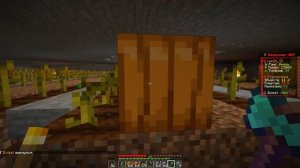 Эта ФЕРМА ТЫКВ изменит судьбу АНАРХИИ ФАНТАЙМ