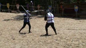 2010. Английский лук против французских пушек