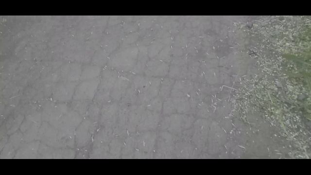 Прогулка по улице Терешковой (Фрагмент) Видео Виктор Поживин Оренбург 21.05.25.