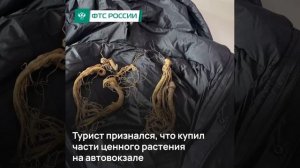 В Уссурийске таможенники раскрыли «небольшой» секрет жилетки туриста