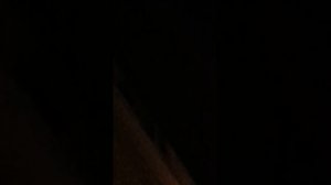 Бабка+Продиджи. Прикол. Ржач